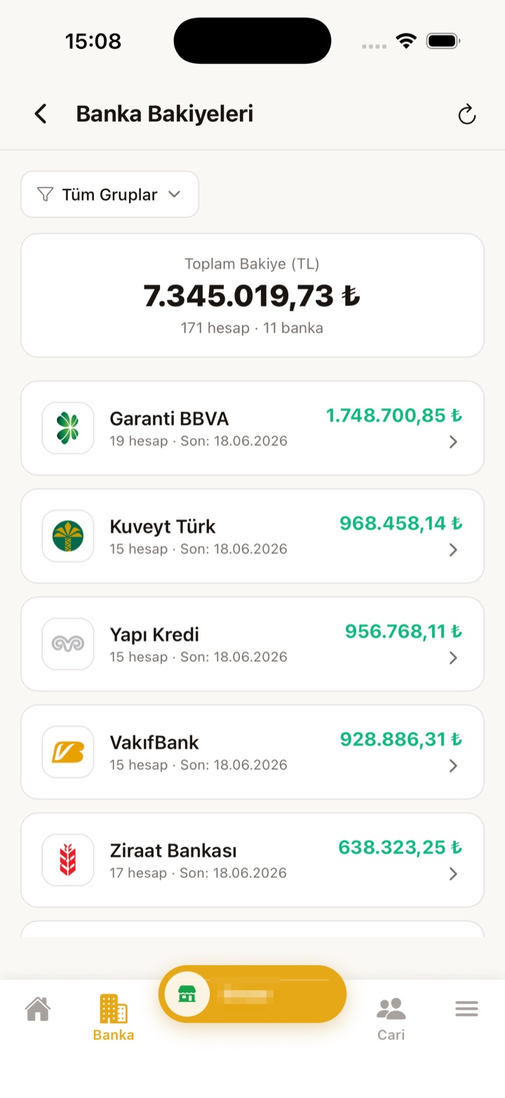Terminal Gold mobil — Banka Bakiyeleri