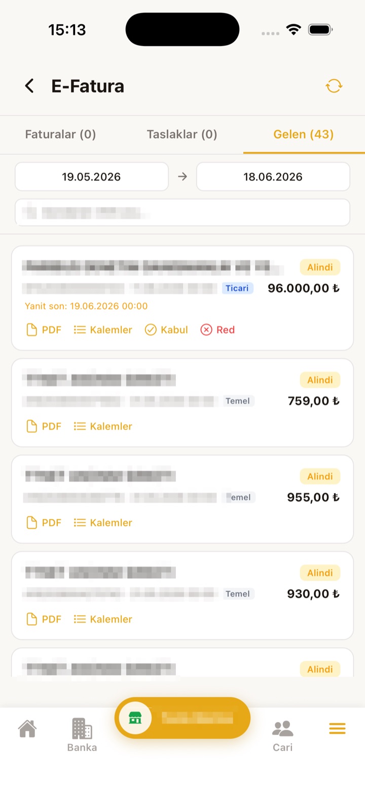E-Fatura ekranı