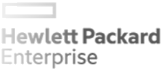 Hewlett Packard Enterprise — Terminal Gold teknoloji ortağı
