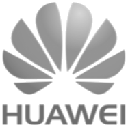 Huawei — Terminal Gold teknoloji ortağı